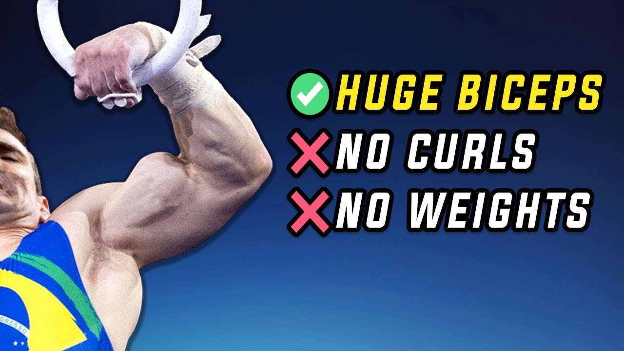 Top 5 Gymnast BICEPS Exercises ANYONE Can Do (NO CURLS!) - ms-tk